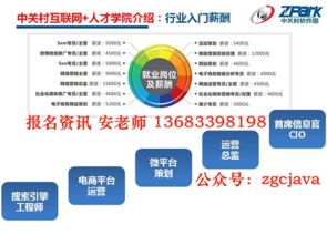 中關(guān)村互聯(lián)網(wǎng)營銷與大數(shù)據(jù)培訓(xùn) Java技術(shù)賦能與“先就業(yè)后付款”模式解析